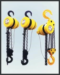 electric chain hoist(DHP)